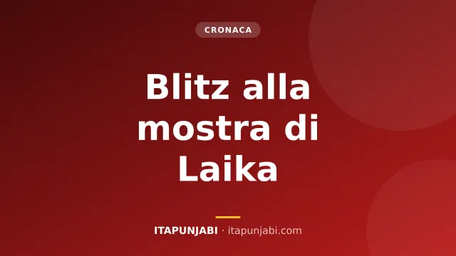 Attacco alla mostra di Laika a Roma: opere rovinate