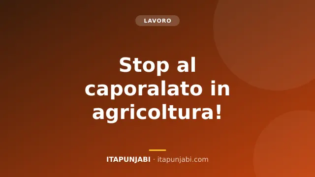 Lavoro in agricoltura: diritti, caporalato e a chi chiedere aiuto